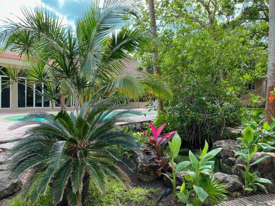 Villa Casa Paamul à Playa del Carmen Extérieur photo